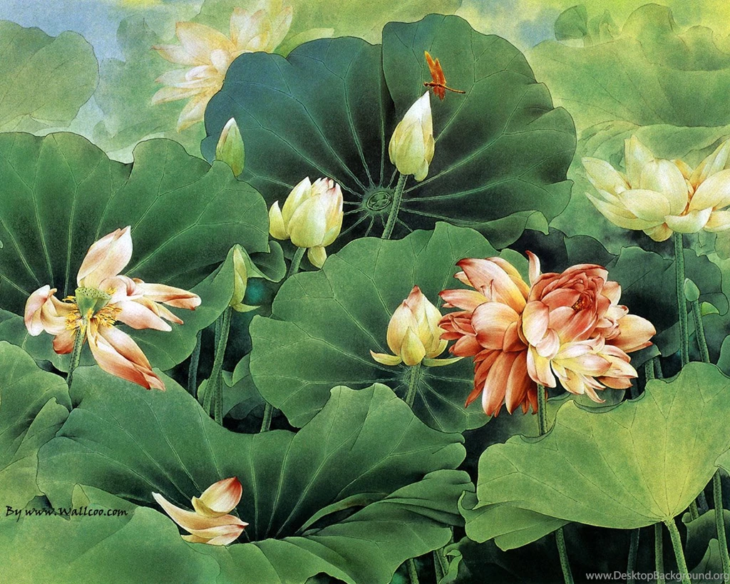 Chinese Painting Lotus Flower Wallpapers