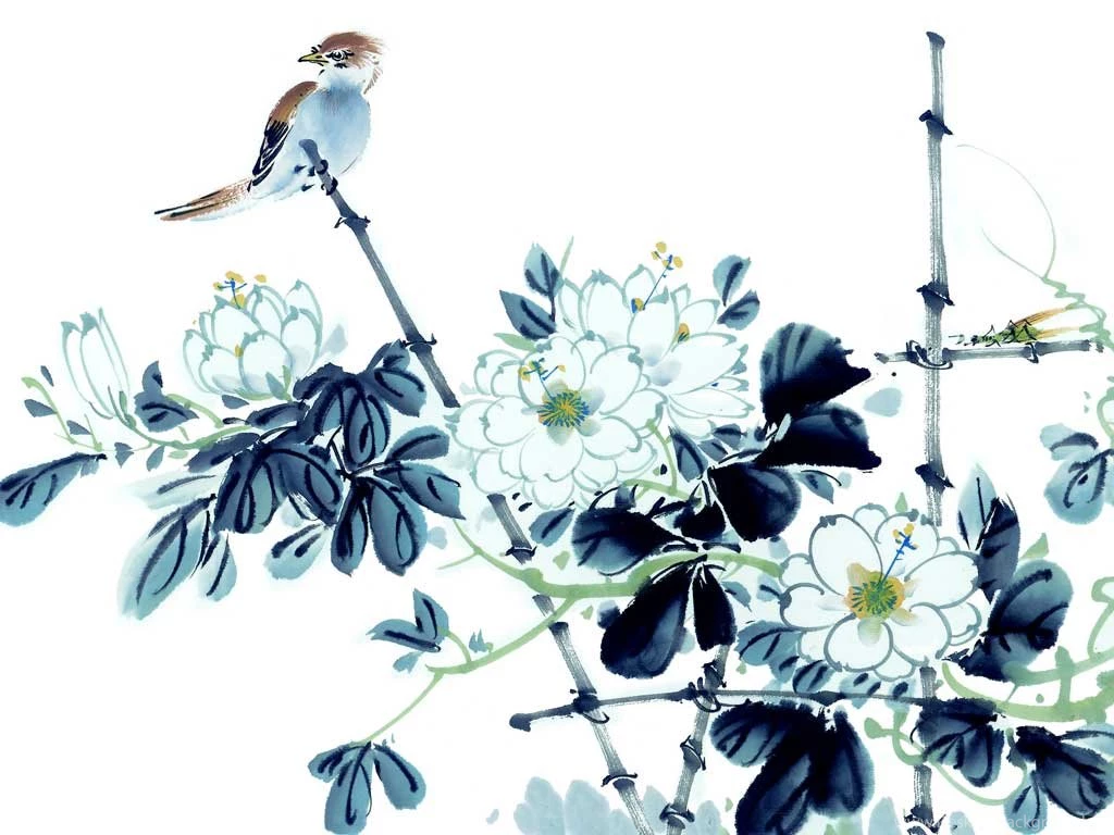 Chinese Birds Paintings