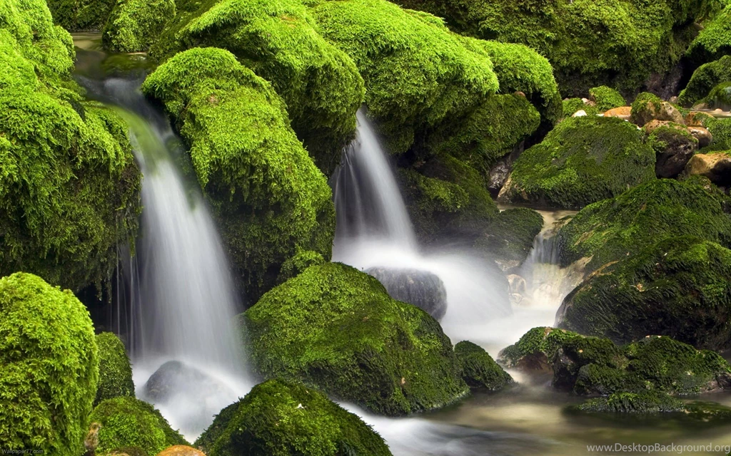Live Green Waterfalls, 1920x1200 Pixels : Wallpapers Tagged ...