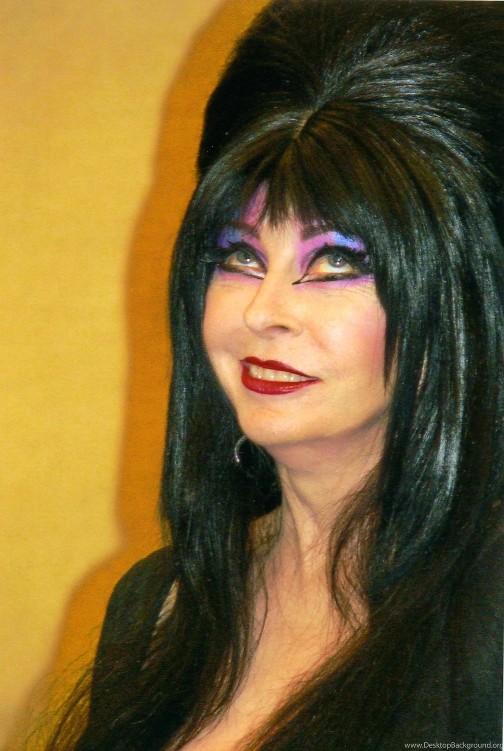 Elvira Mistress Of The Dark Wallpapers Wallpapers Cave