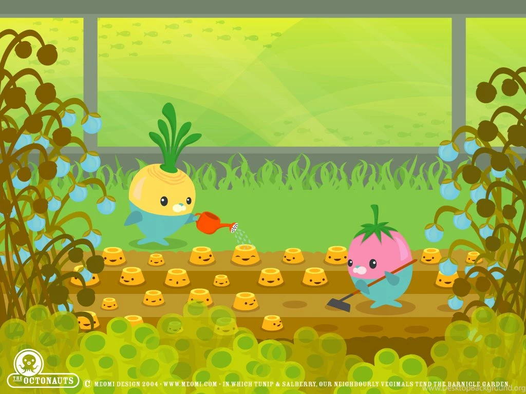 Octonauts Computer Wallpapers, Desktop Backgrounds