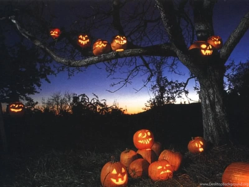 Jack O Lantern Background Images