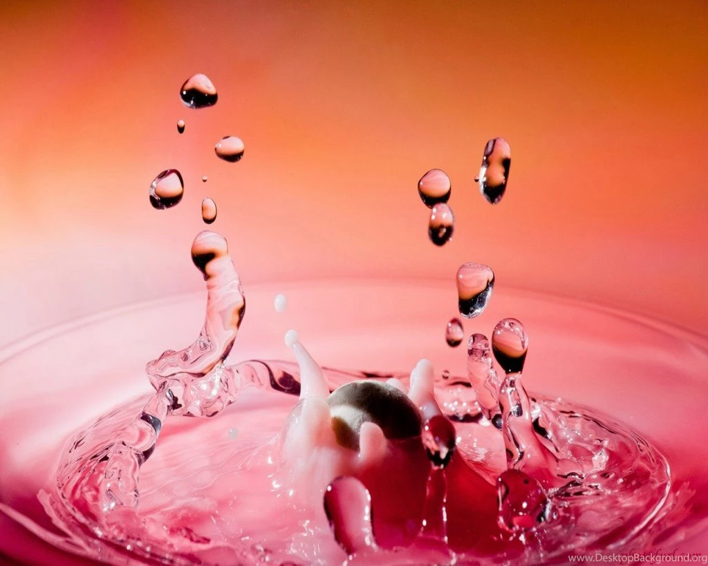 Animated Mobile Wallpapers Free Download All Wallpapers New