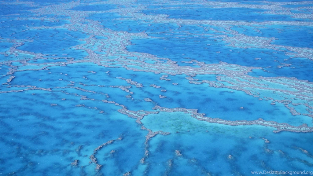 Wallpapers Lion Mac Best Coral Reefs Os X Mountain Hd 1920x1080 ...
