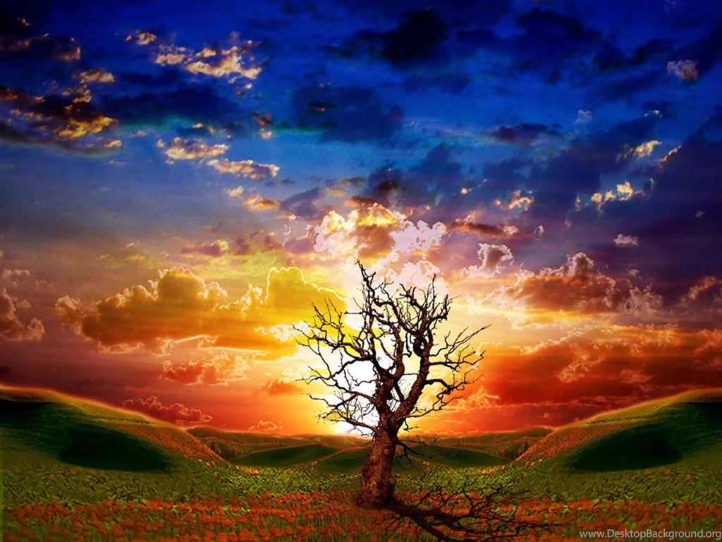 Motion Nature Backgrounds Free Just For Sharing