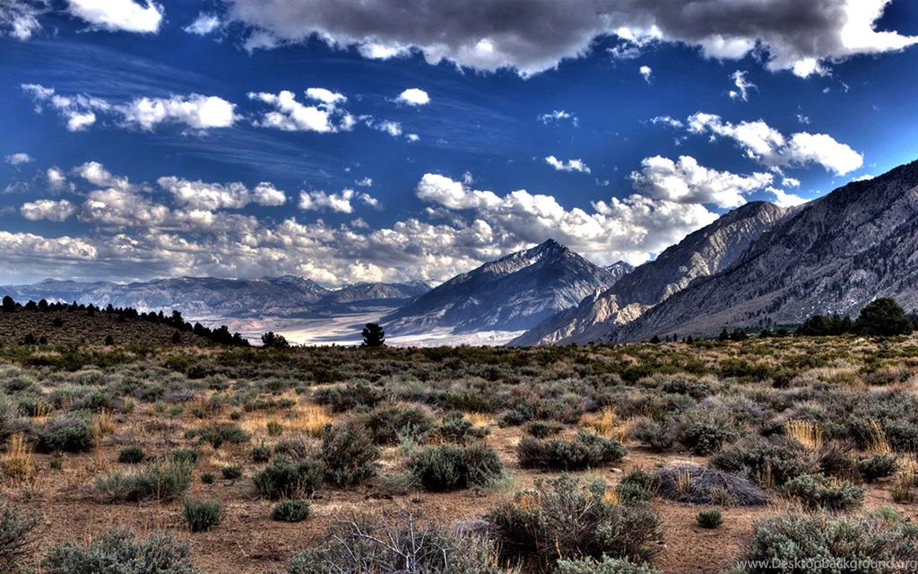 Desolate Desert Scenery Desktop Wallpapers 6 - Landscape ...