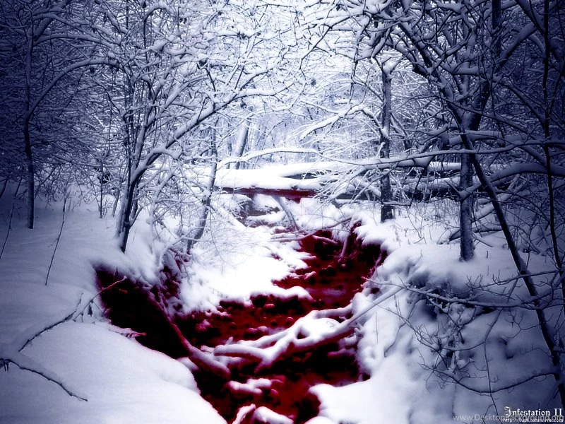 Wallpapers Beauty Face And Of 800x600