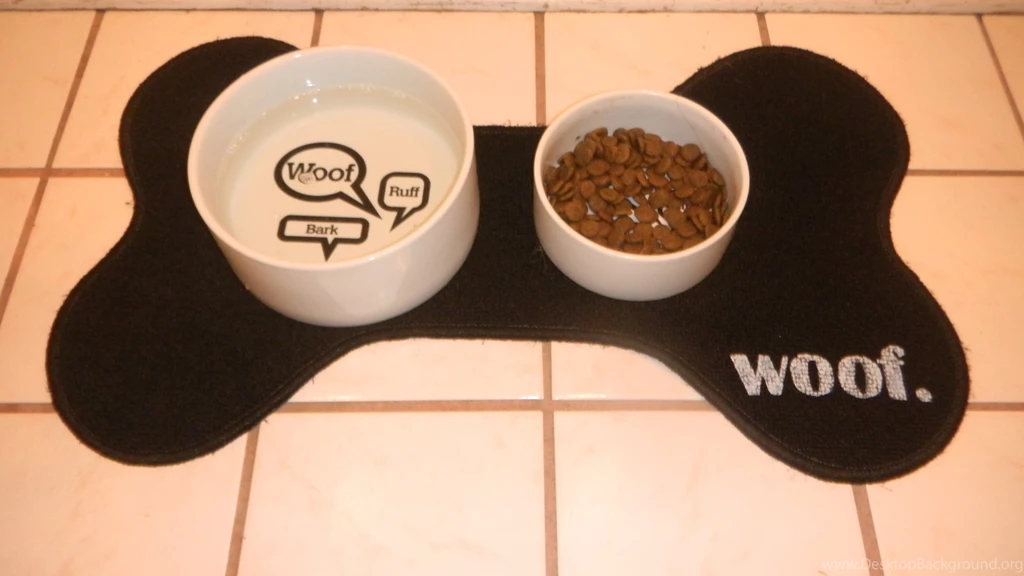Woof” Means “I Love You” In Dog
