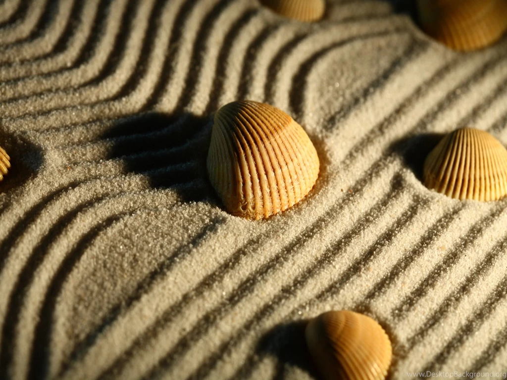 Zen Phone Wallpapers Wallpapers Zone