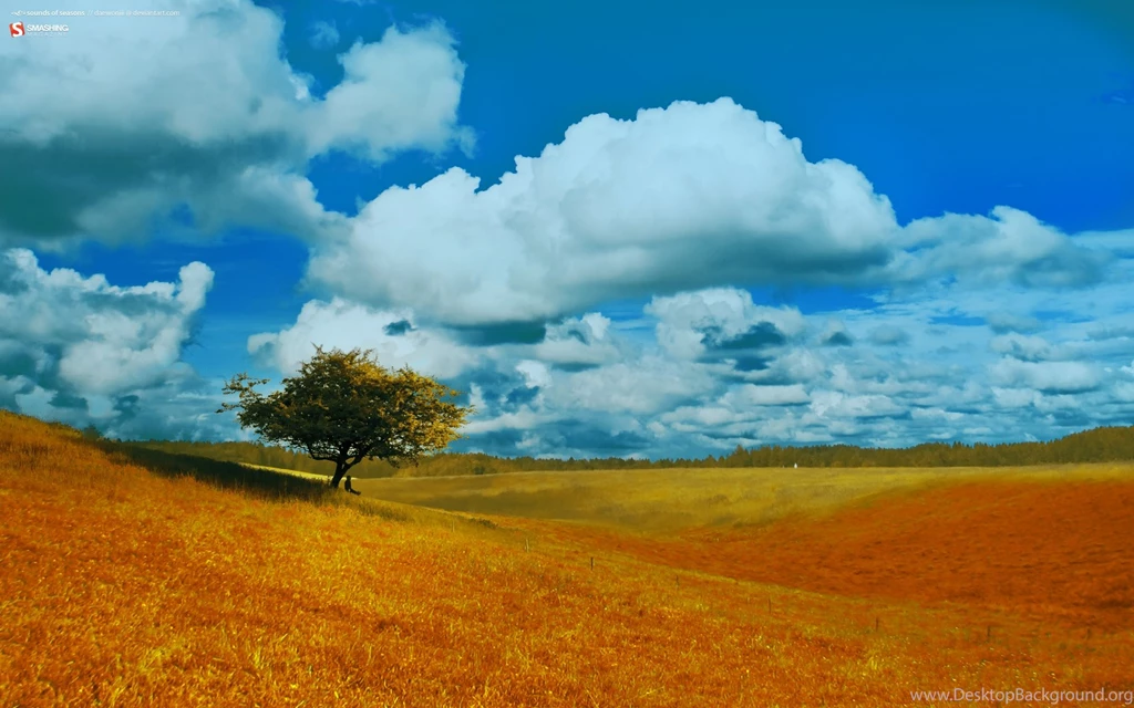 Autumn, September, Seasons, Background, Wallpaper, Nocal, Smash ...