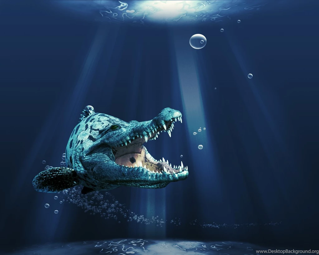 New 3d Wallpapers AsimBaBa