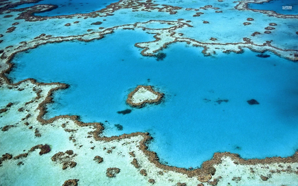 Hardy Reef Near Whitsunday Islands : Desktop And Mobile Wallpapers ...