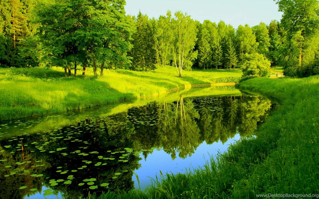 Best 1920×1200 HD Wallpapers Free Download