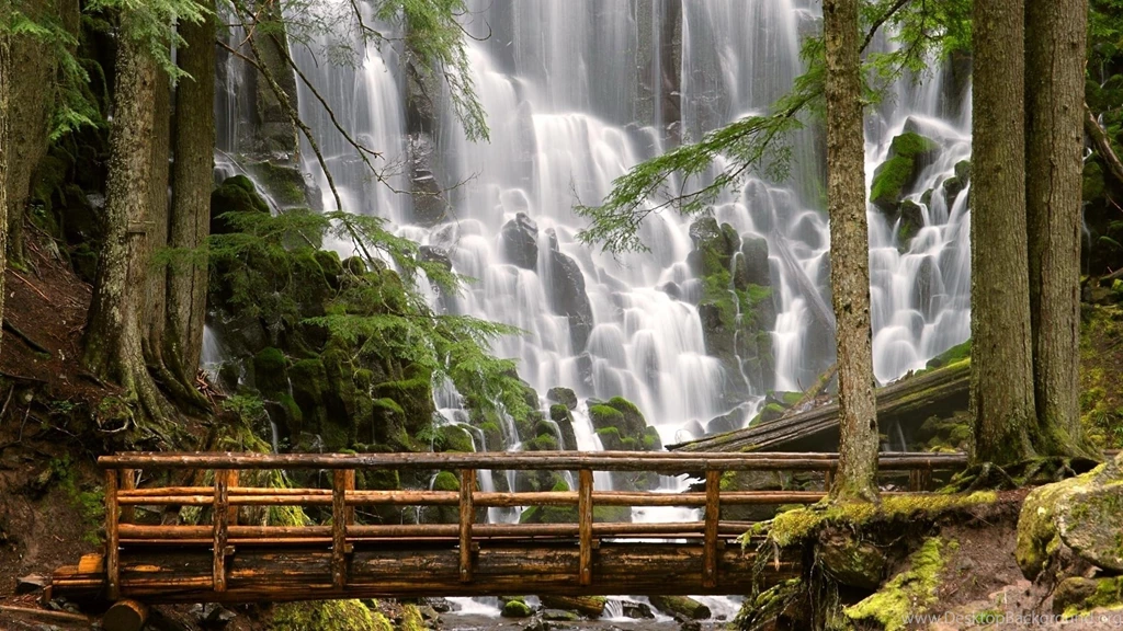 Forest Waterfall Wallpapers