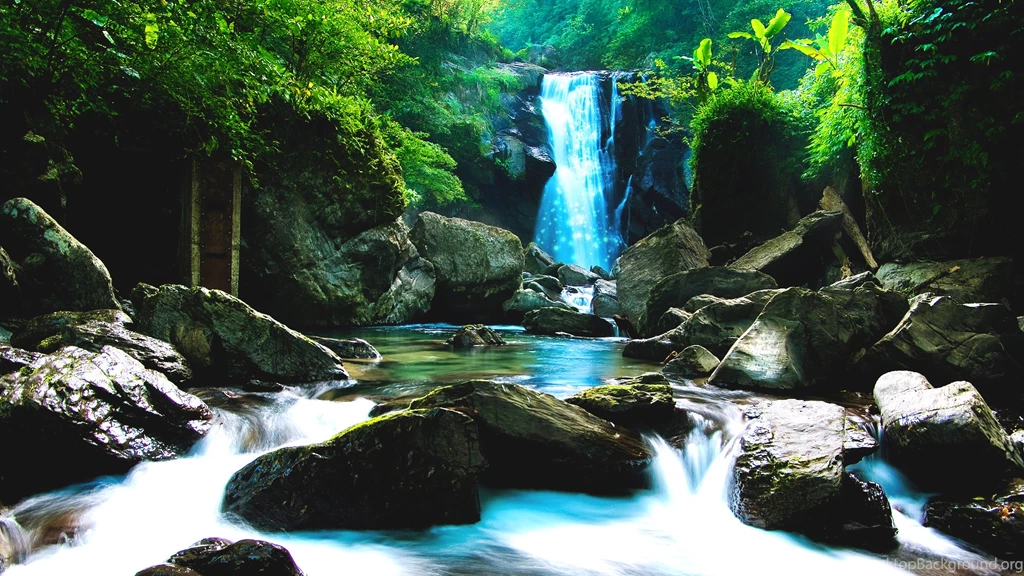 Green Waterfall Forest