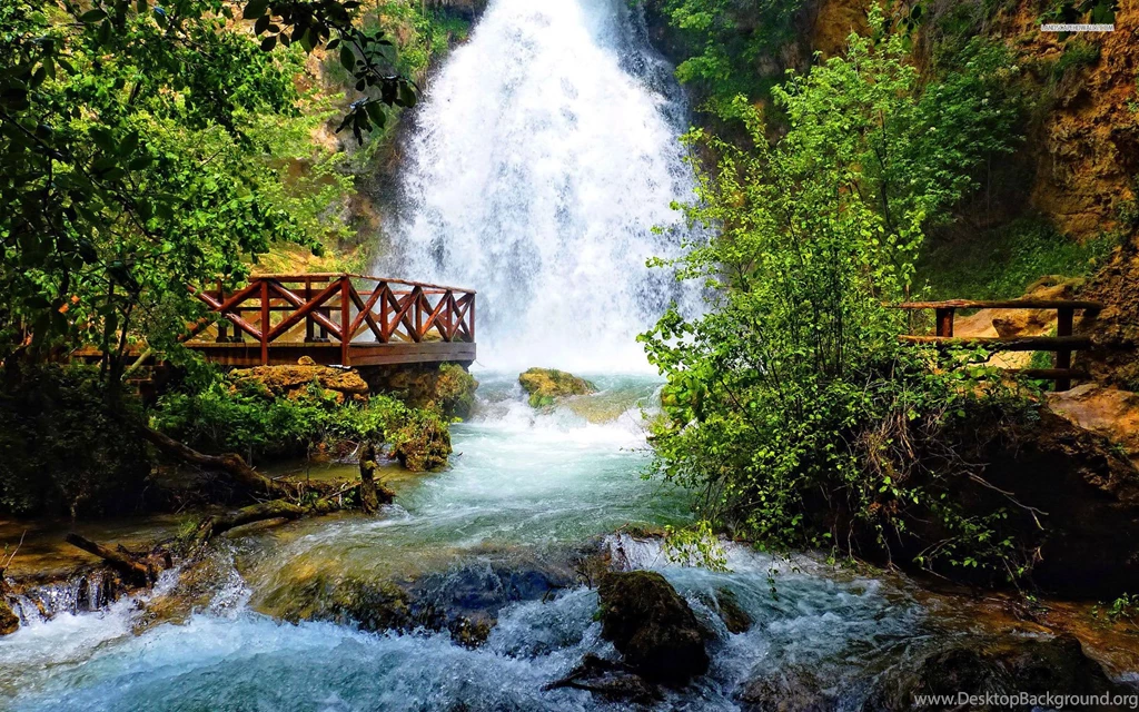 Waterfall Pictures In The Forest 10159 Pacify Mind