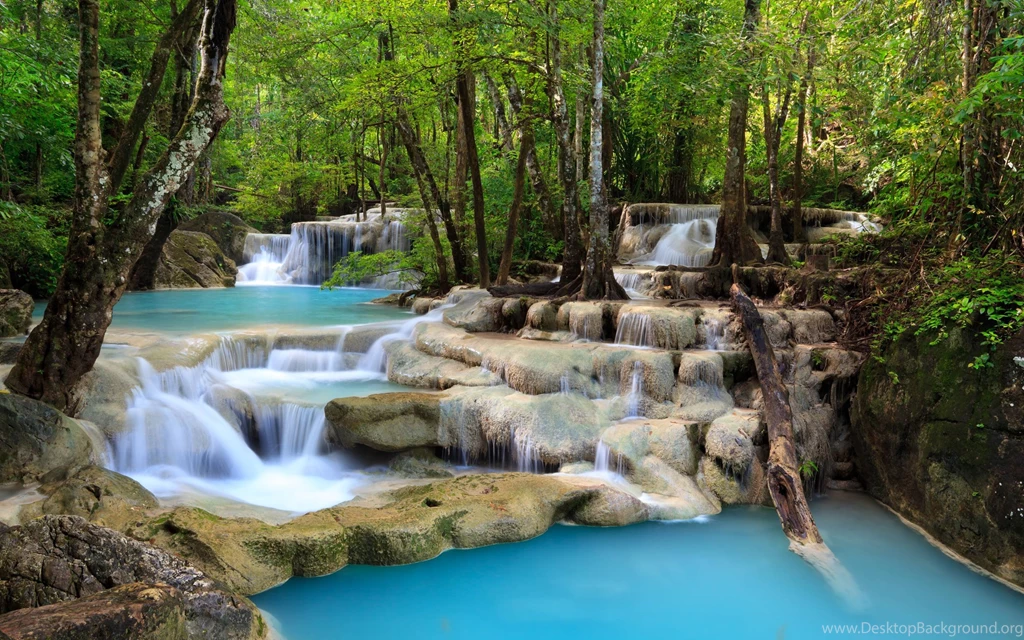 Forest Waterfall Wallpapers Wallpapers Wide Hd