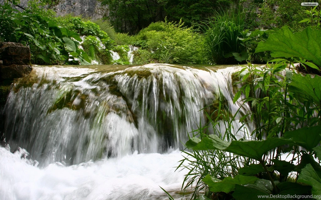 Forest Waterfall Wallpapers HD