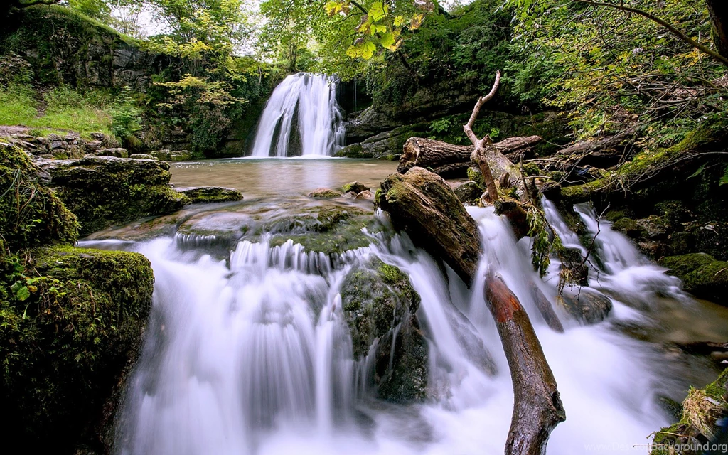 Waterfall Forest Wallpapers
