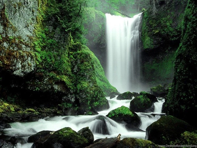 Falls Creek Falls, Gifford Pinchot National Forest, Washington ...
