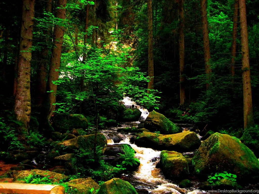 Forest Waterfall >> HD Wallpaper, Get It Now!