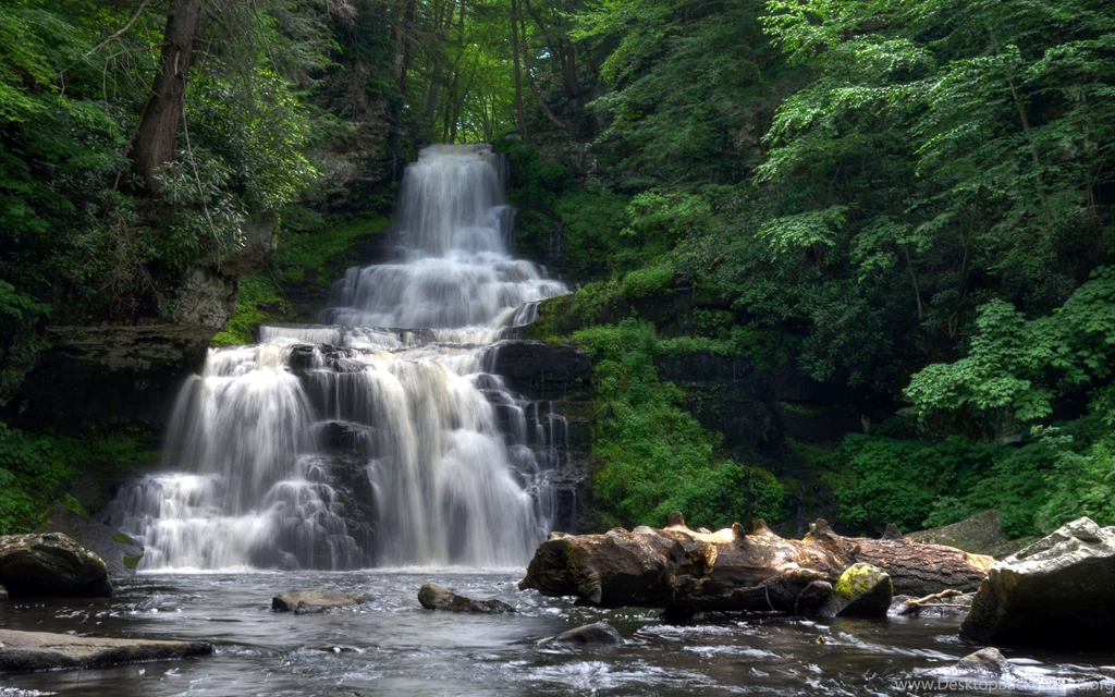 Gentle Giant Forest Moss Quiet Rocks Stream Waterfall (