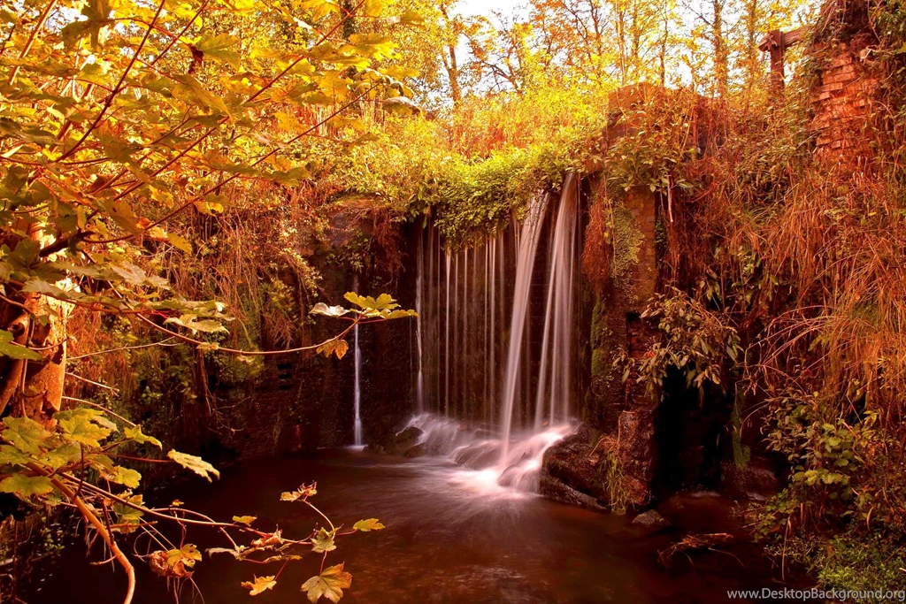 Small Forest Waterfall (