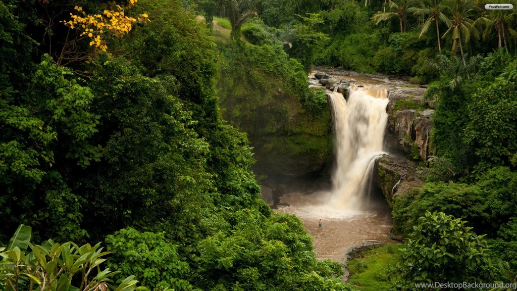 YouWall Green Forest Waterfall Wallpapers Wallpaper,wallpapers ...
