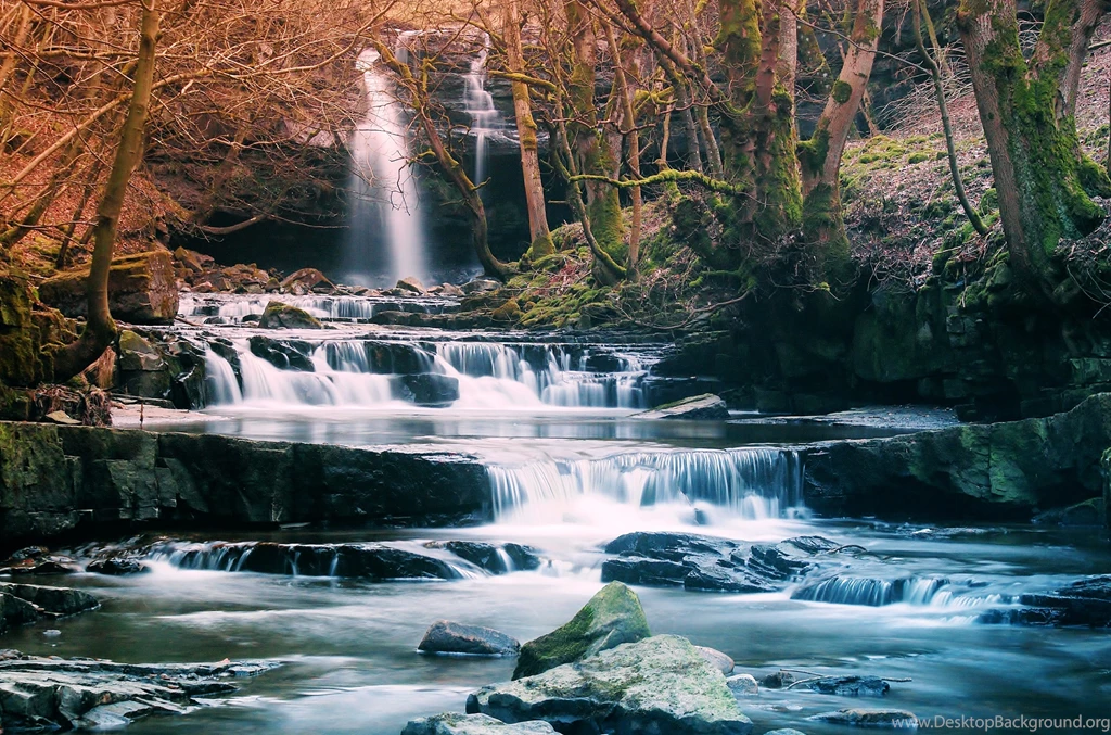 Forest Waterfall River Landscape Wallpapers