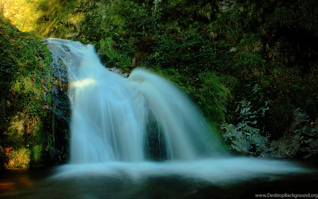 Nature Wallpaper: Forest Waterfall High Quality Resolution ...