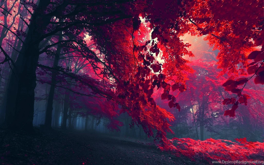 Autumn Wallpapers >> Backgrounds With Quality HD Page 4