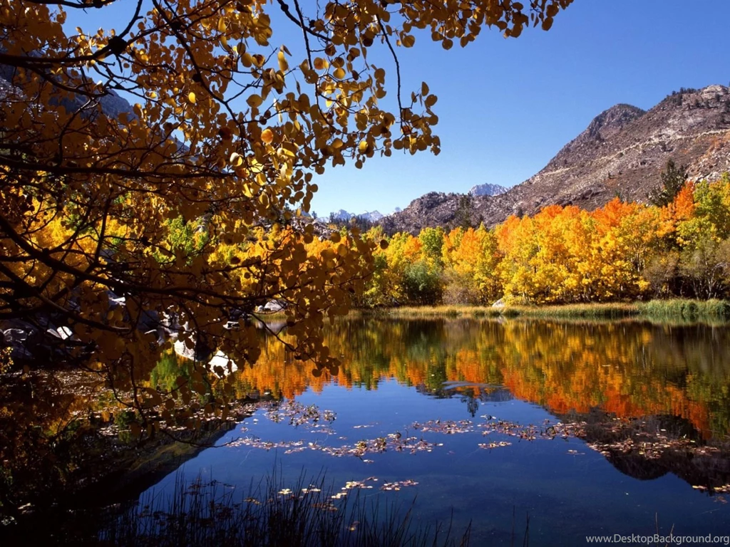 Mountain Fall Foliage Widescreen Wallpapers