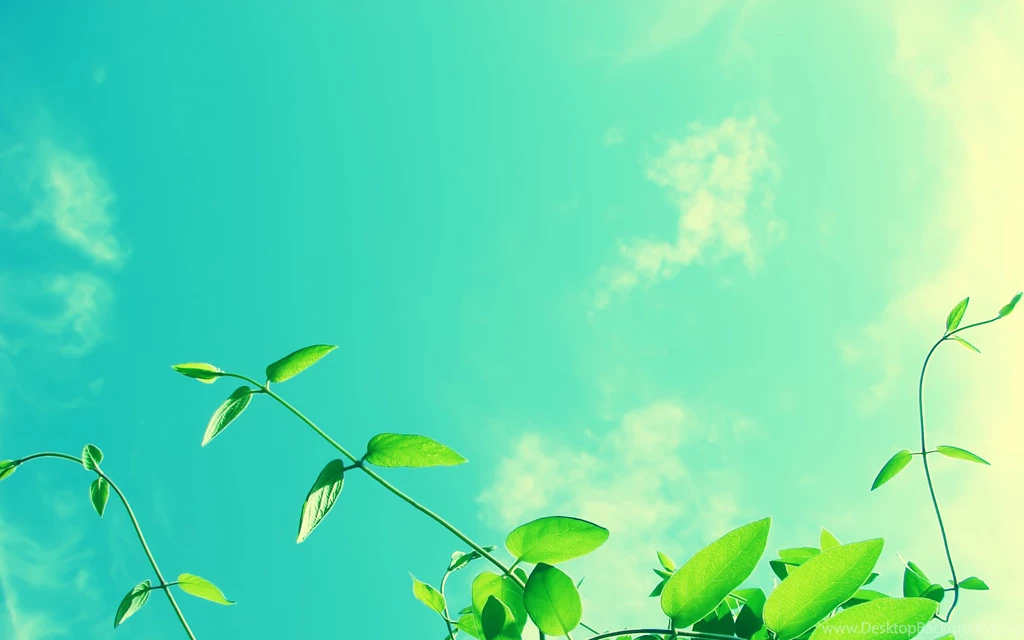 Set Your Desktop To The Colorful Outdoors With These Vintage Style ...