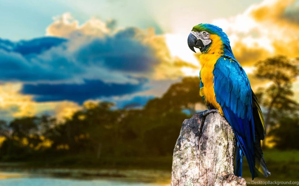 Best HD Backgrounds Wallpapers Android Apps On Google Play