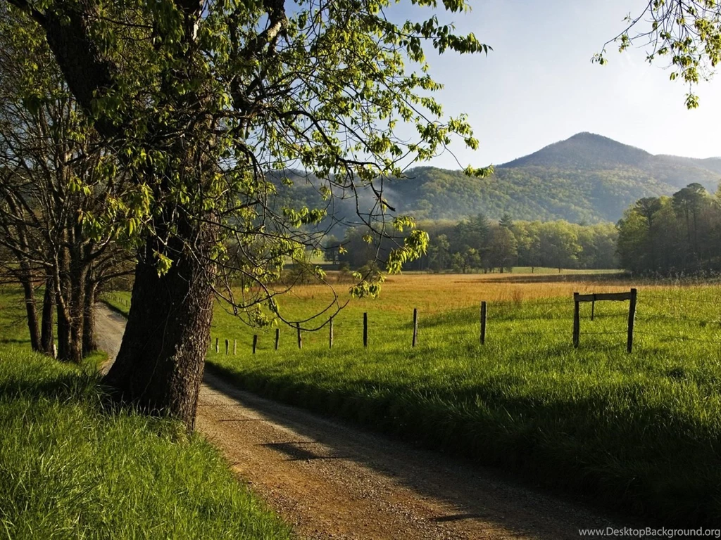 Rustic Scenary Widescreen Wallpapers