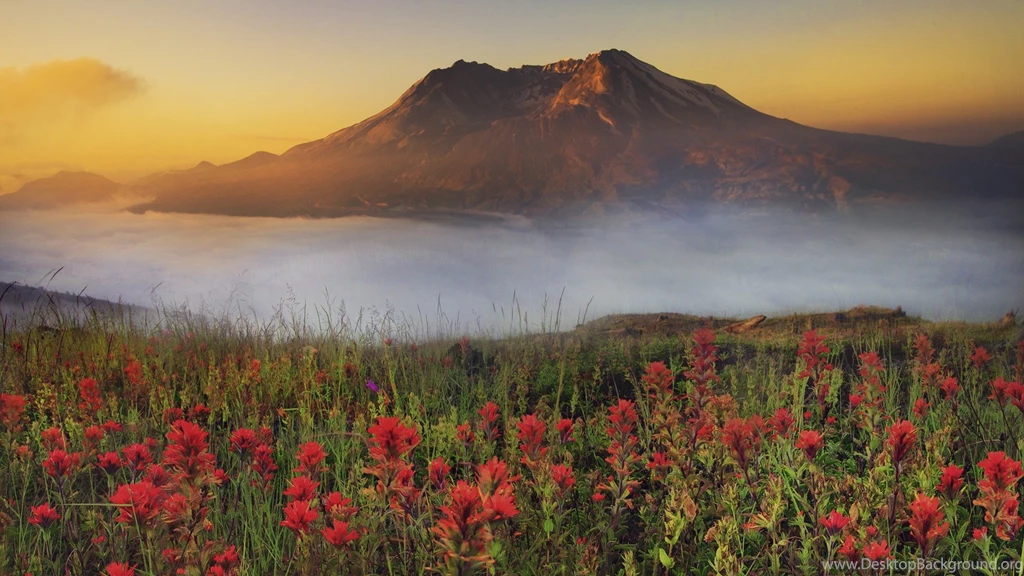Wallpapers Scenary Scenery Hd Free 1920x1080