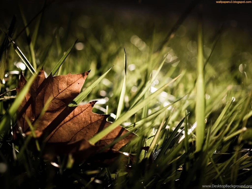 Wallpaper: Autumn Season Wallpapers 2