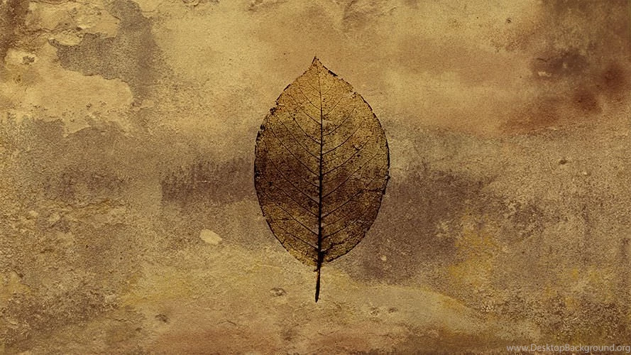 Paper Wallpapers / Traditional / Nature Pattern / Gold colored ...