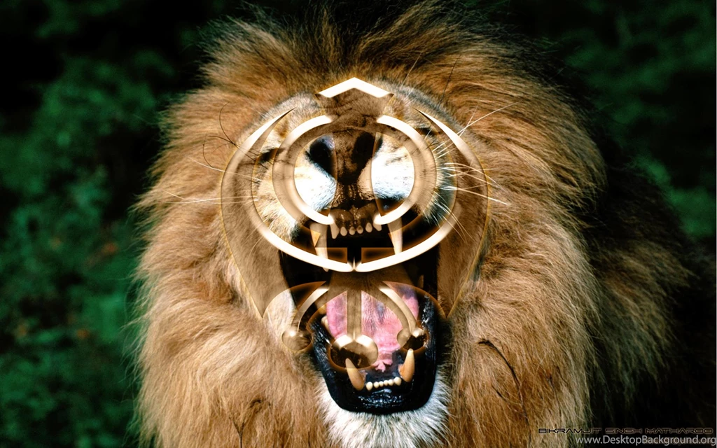 DeviantArt: More Like Khanda With Lion Backgrounds By Bikram