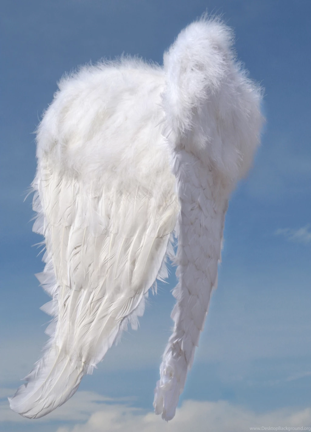 Angelic Journeys Meditation CD [MEDIAJ]   $15.00 : Kathy Milano, Ph.D.