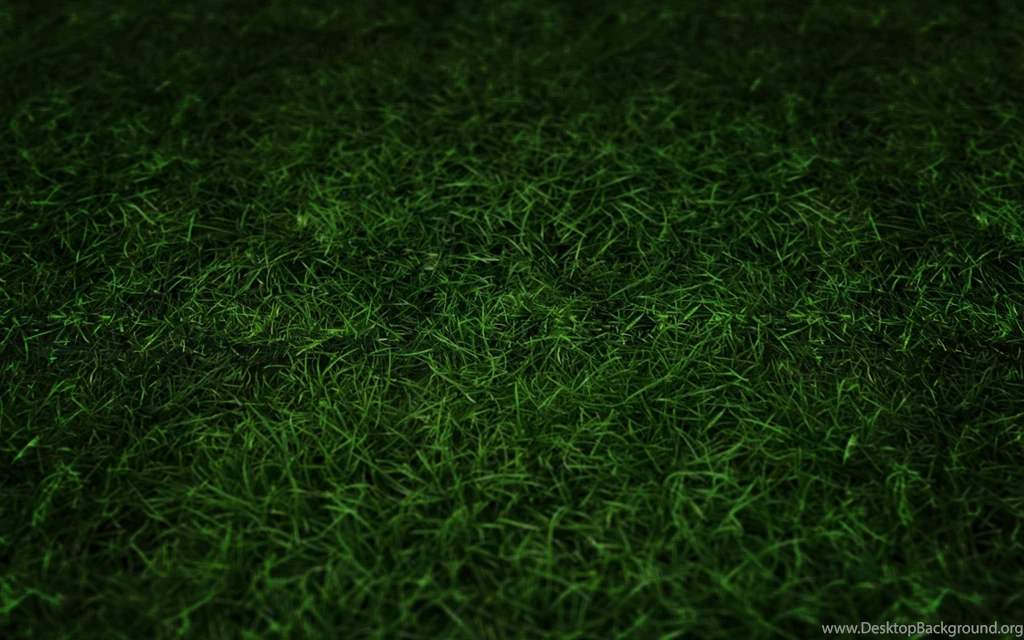 Awesome Awesome Grass HD Wallpapers Free Download