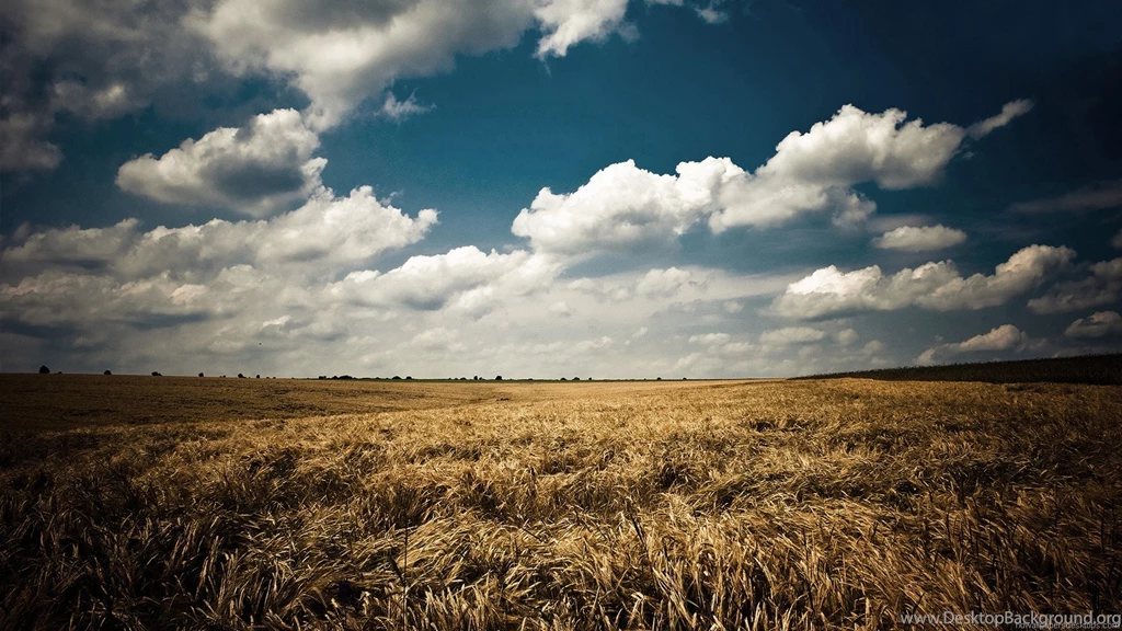 Hd Desktop Wallpapers Hd Widescreen Desktop Wallpapers 1920x1080 ...
