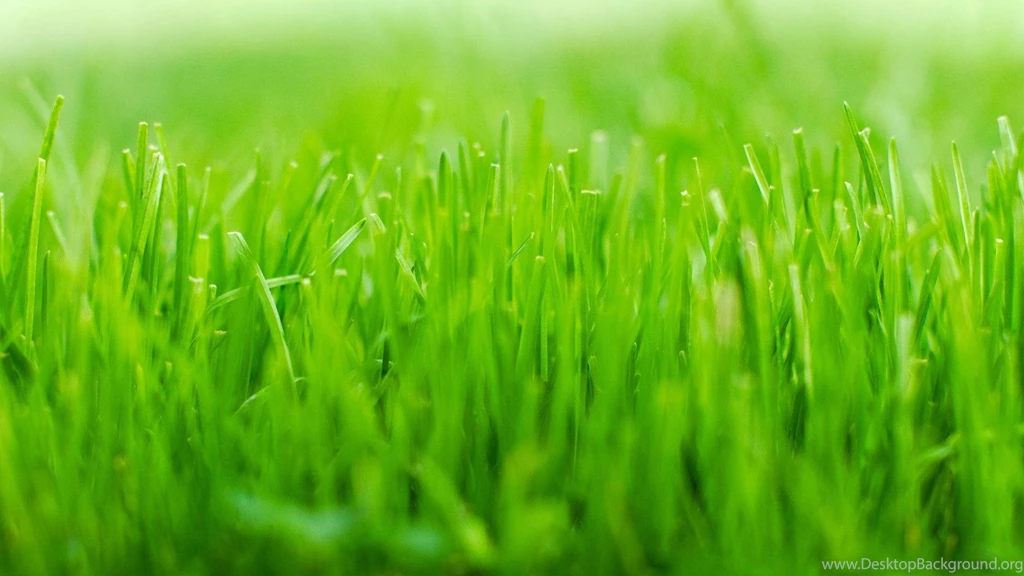 HD Green Grass Wallpapers, Green Backgrounds, Pictures And Images