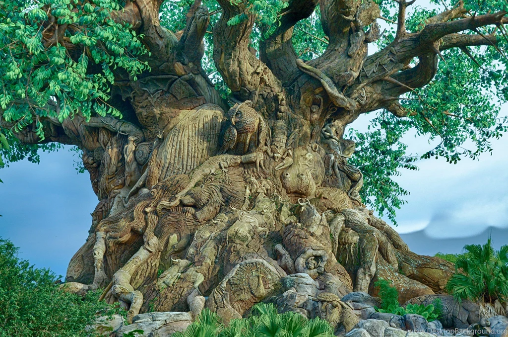 The Animal Tree Computer Wallpapers, Desktop Backgrounds ...