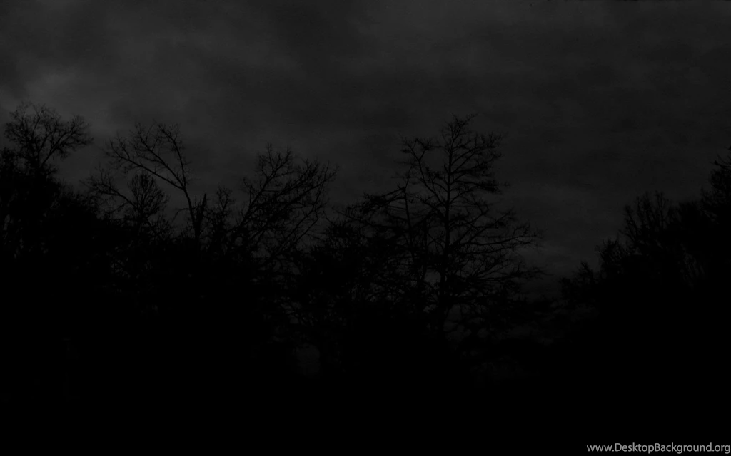 Black And White Forest