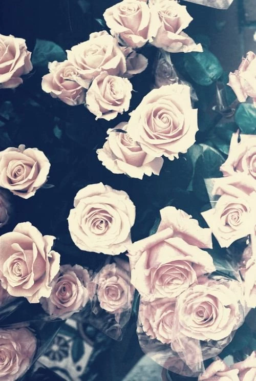 Phone Backgrounds Cool Backgrounds Attachment 5187 HD Wallpapers Site