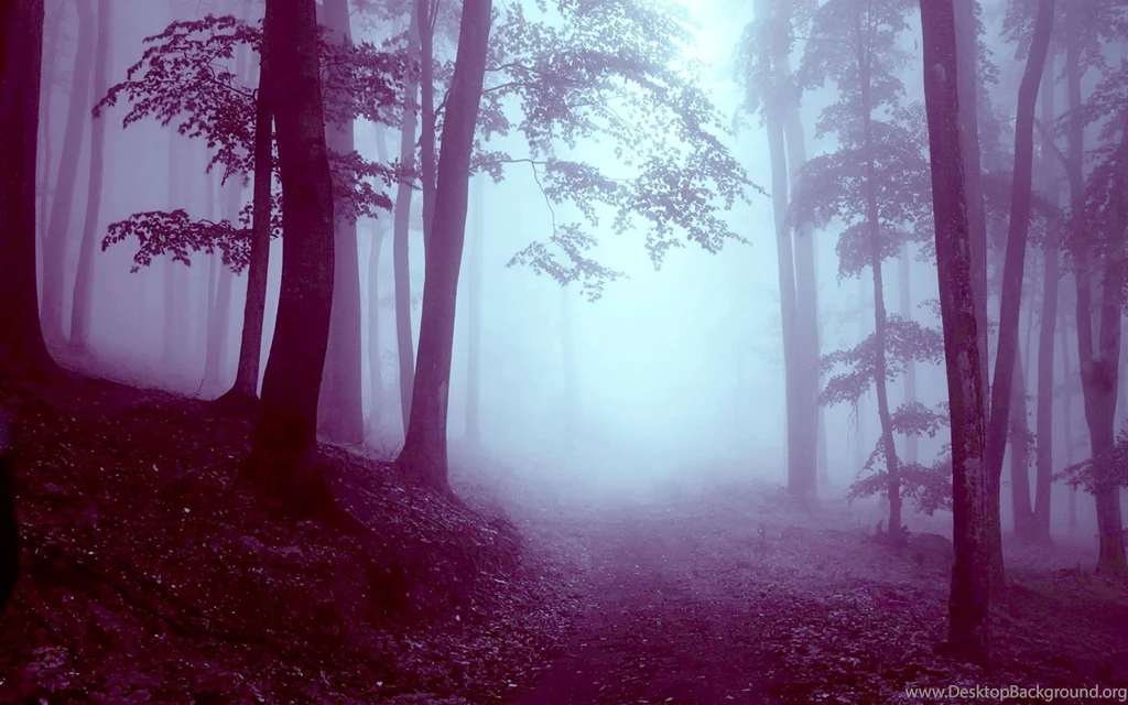 Misty Forest Iphone Wallpapers