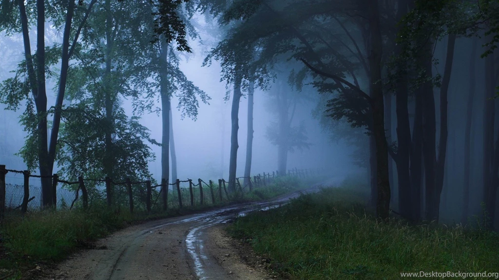Misty Road forest Landscape Desktop Wallpapers 1920x1080 ...