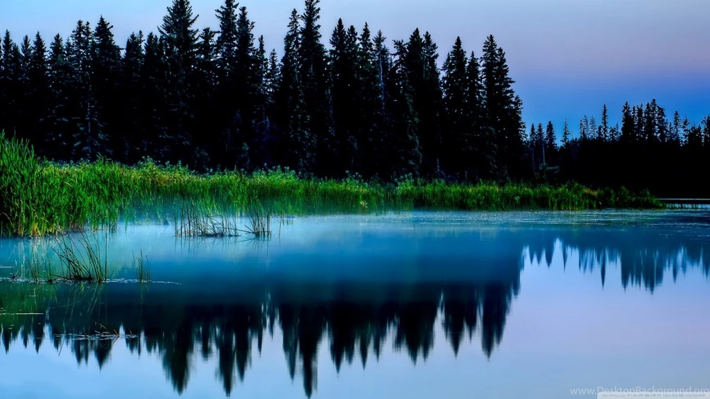 Misty Lake And Dark Forest HD Desktop Wallpapers : Widescreen ...