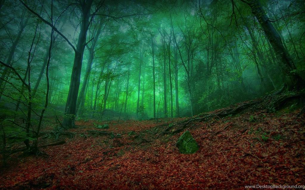 Misty Green Forest Enchantment (